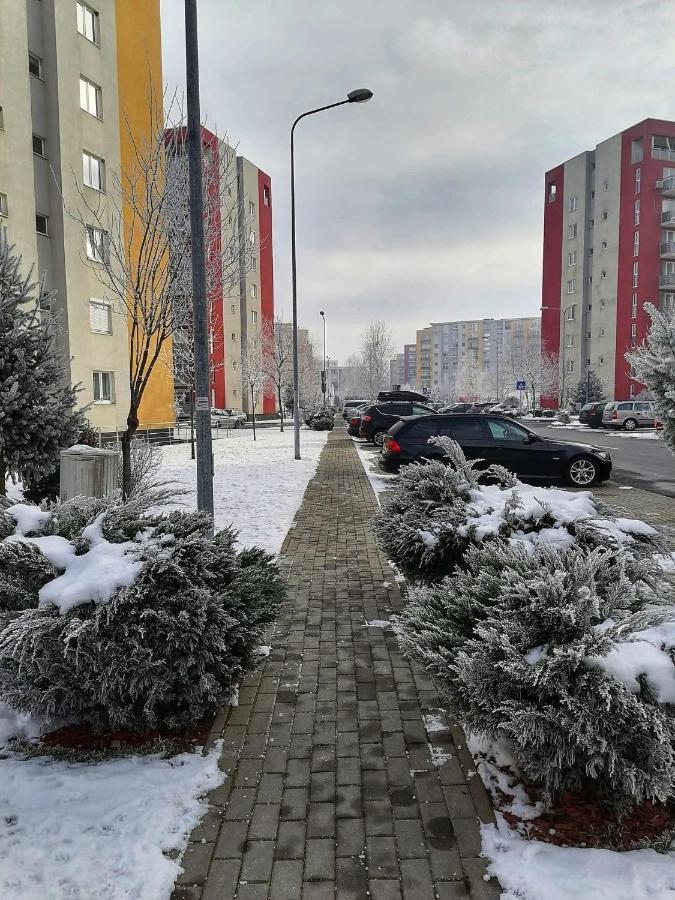 Apartment Richy Brassó Kültér fotó
