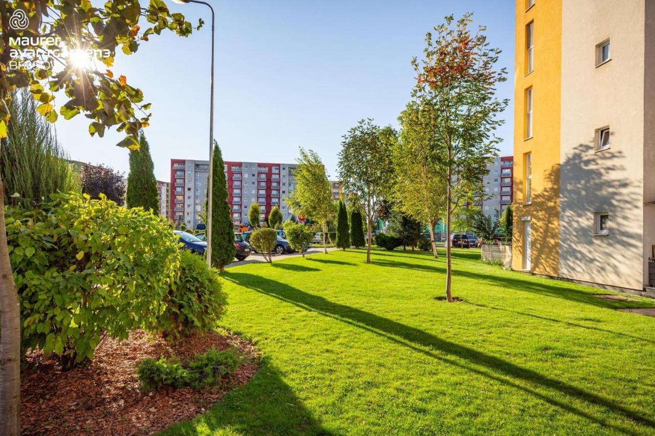 Apartment Richy Brassó Kültér fotó